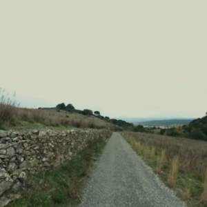 Montner